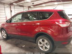 2013 Ford Escape Se Burgundy vin: 1FMCU0GX6DUA07047