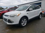 2013 Ford Escape Se White vin: 1FMCU0GX6DUA54918