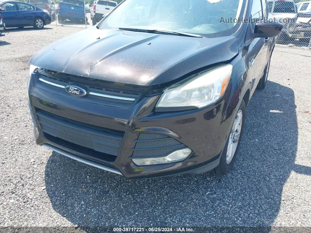 2013 Ford Escape Se Brown vin: 1FMCU0GX6DUB06449