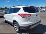 2013 Ford Escape Se White vin: 1FMCU0GX6DUC56481