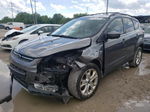 2013 Ford Escape Se Серый vin: 1FMCU0GX6DUC78867