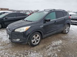 2013 Ford Escape Se Black vin: 1FMCU0GX6DUD51901