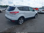 2013 Ford Escape Se White vin: 1FMCU0GX6DUD54071