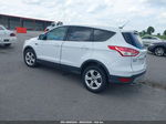 2013 Ford Escape Se White vin: 1FMCU0GX6DUD54071