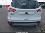 2013 Ford Escape Se White vin: 1FMCU0GX6DUD54071