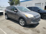 2014 Ford Escape Se Gray vin: 1FMCU0GX6EUA39448