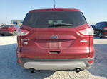 2014 Ford Escape Se Red vin: 1FMCU0GX6EUB71819