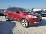 2014 Ford Escape Se Красный vin: 1FMCU0GX6EUB71819