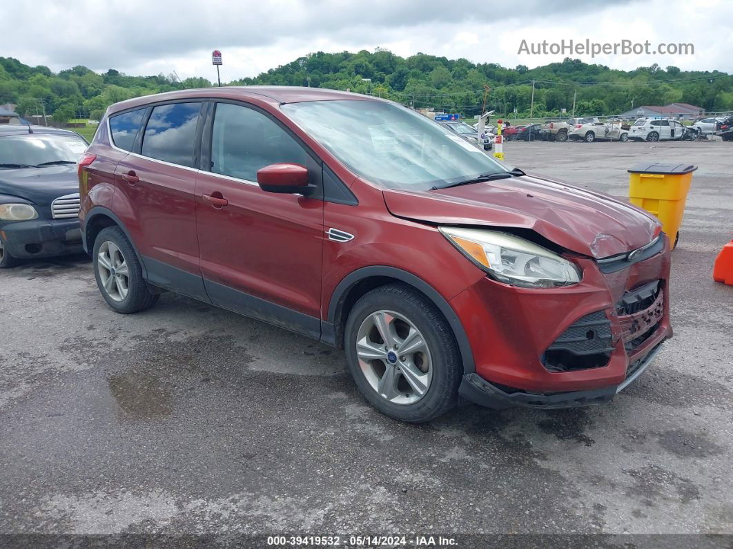 2014 Ford Escape Se Maroon vin: 1FMCU0GX6EUB78575