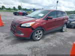 2014 Ford Escape Se Maroon vin: 1FMCU0GX6EUB78575