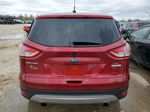 2014 Ford Escape Se Burgundy vin: 1FMCU0GX6EUC21361