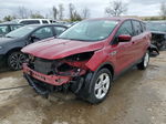 2014 Ford Escape Se Burgundy vin: 1FMCU0GX6EUC21361