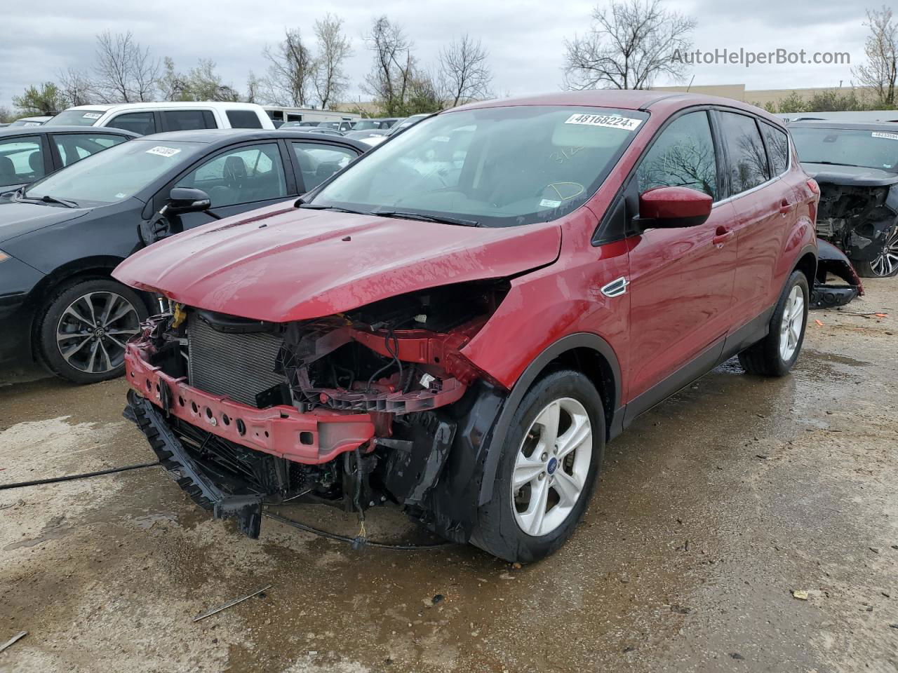 2014 Ford Escape Se Burgundy vin: 1FMCU0GX6EUC21361