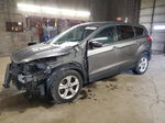 2014 Ford Escape Se Gray vin: 1FMCU0GX6EUC35566