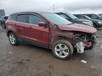 2014 Ford Escape Se Красный vin: 1FMCU0GX6EUC36720