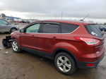 2014 Ford Escape Se Red vin: 1FMCU0GX6EUC36720