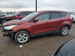 2014 Ford Escape Se Красный vin: 1FMCU0GX6EUC36720