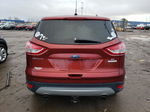 2014 Ford Escape Se Красный vin: 1FMCU0GX6EUC36720