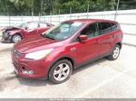 2014 Ford Escape Se Red vin: 1FMCU0GX6EUD89730