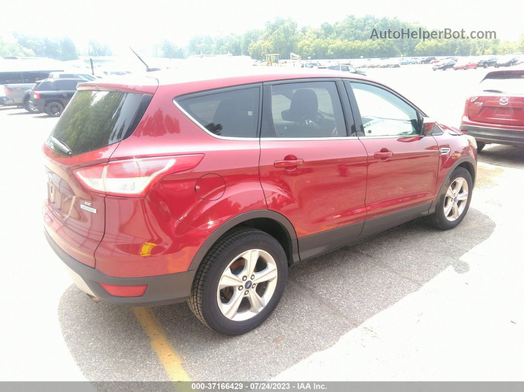 2014 Ford Escape Se Red vin: 1FMCU0GX6EUD89730