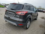 2015 Ford Escape Se Gray vin: 1FMCU0GX6FUA34610