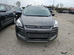 2015 Ford Escape Se Gray vin: 1FMCU0GX6FUA34610