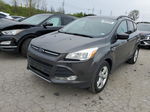 2015 Ford Escape Se Gray vin: 1FMCU0GX6FUA34610