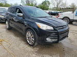 2016 Ford Escape Se Black vin: 1FMCU0GX6GUA75613