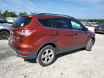 2016 Ford Escape Se Orange vin: 1FMCU0GX6GUB06441