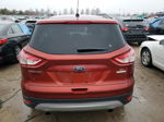 2016 Ford Escape Se Red vin: 1FMCU0GX6GUC40821