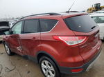 2016 Ford Escape Se Красный vin: 1FMCU0GX6GUC40821