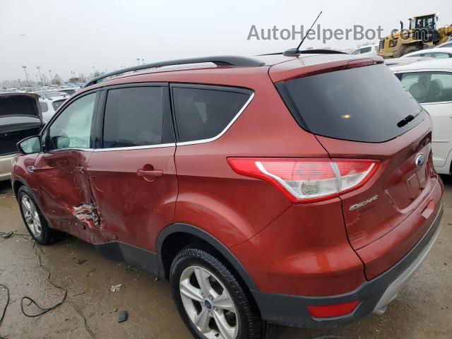 2016 Ford Escape Se Красный vin: 1FMCU0GX6GUC40821