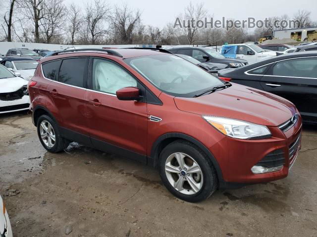 2016 Ford Escape Se Красный vin: 1FMCU0GX6GUC40821