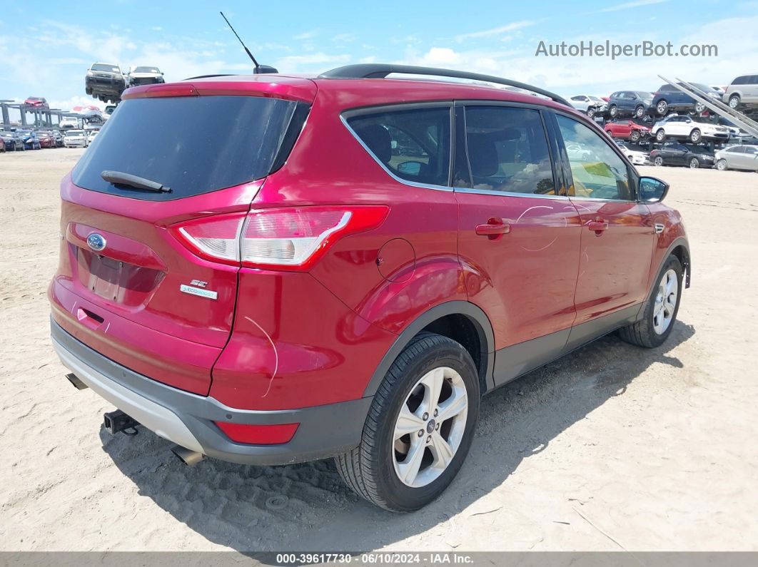 2016 Ford Escape Se Burgundy vin: 1FMCU0GX6GUC77464