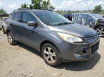 2013 Ford Escape Se Gray vin: 1FMCU0GX7DUD91114