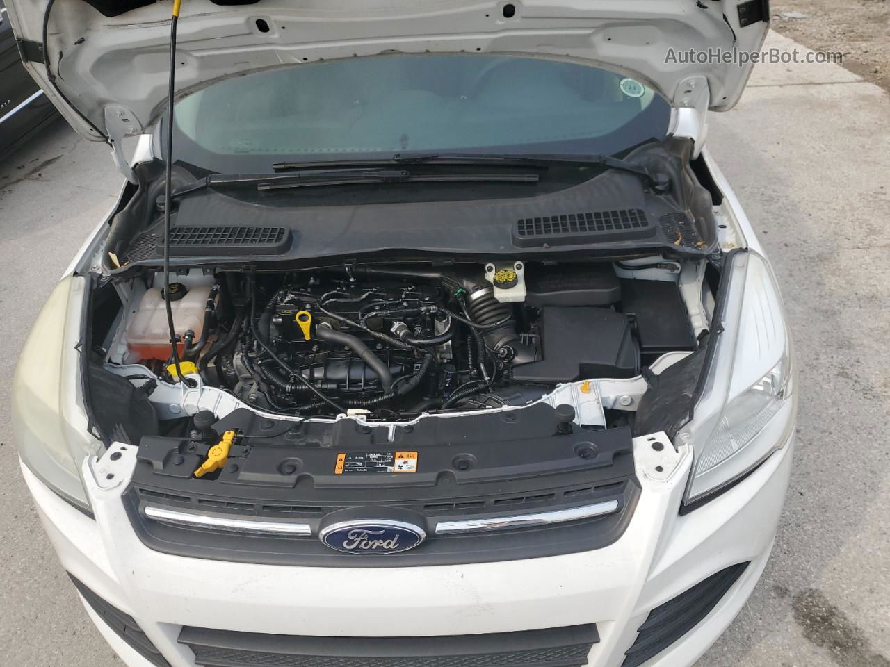 2014 Ford Escape Se White vin: 1FMCU0GX7EUB55225