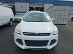 2014 Ford Escape Se vin: 1FMCU0GX7EUC38816