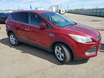 2014 Ford Escape Se Red vin: 1FMCU0GX7EUC50447