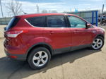 2014 Ford Escape Se Red vin: 1FMCU0GX7EUC50447