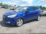 2014 Ford Escape Se Blue vin: 1FMCU0GX7EUD98890