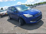 2014 Ford Escape Se Blue vin: 1FMCU0GX7EUD98890