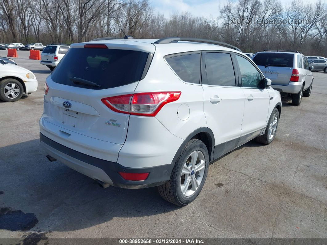 2016 Ford Escape Se White vin: 1FMCU0GX7GUA29191