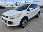 2016 Ford Escape Se vin: 1FMCU0GX7GUC30461