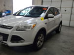 2016 Ford Escape Se vin: 1FMCU0GX7GUC83029