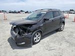 2013 Ford Escape Se Фиолетовый vin: 1FMCU0GX8DUB64384