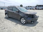 2013 Ford Escape Se Фиолетовый vin: 1FMCU0GX8DUB64384