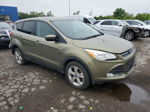 2013 Ford Escape Se Green vin: 1FMCU0GX8DUB92699