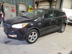 2013 Ford Escape Se Black vin: 1FMCU0GX8DUC93418