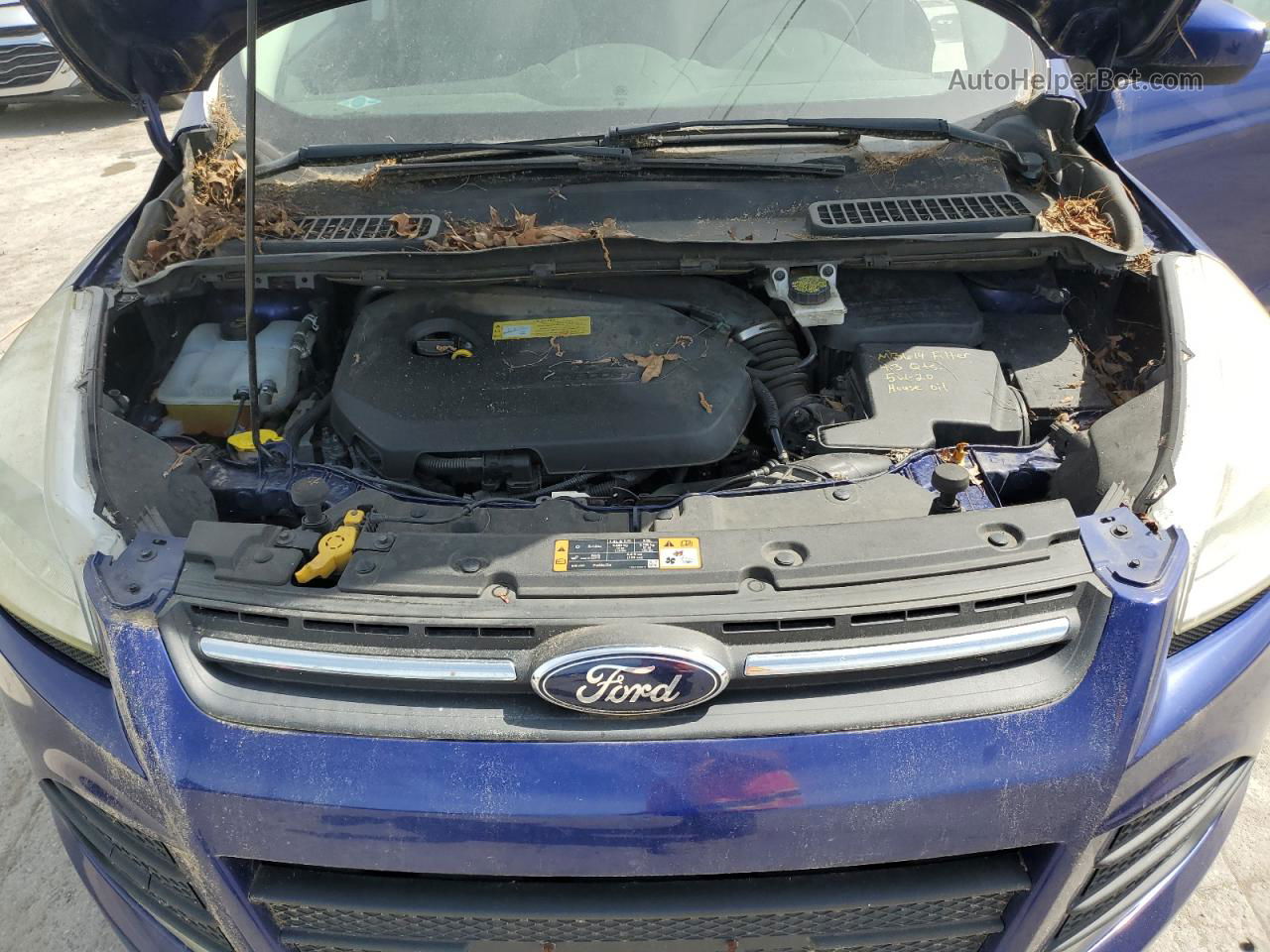 2014 Ford Escape Se Blue vin: 1FMCU0GX8EUC00916