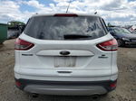 2014 Ford Escape Se White vin: 1FMCU0GX8EUC01466